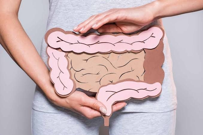 Illustration of the digestive system